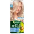 Produktbild: Garnier Color Naturals Cream Hair Dye 102 Frosty Silver Blonde (102 Frosty Silver Blonde) (61201631)