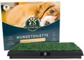 Produktbild: PETSWORLD EST 2021 Hundetoilette Welpentoilette Hundetoilette Kunstrasen 50×50 cm Indoor/Outdoor, Auffangschale, leicht zu reinigen, hygienisch - Kunststoff 6 cm hoch