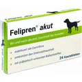 Produktbild: Felipren akut Kautabl.bei u.nach Durchfall f.Hunde 24 St
