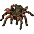 Produktbild: Wild Life Vogelspinne, Spielfigur