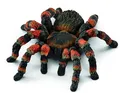 Produktbild: SCHLEICH - Tarantel -  - SHL14829