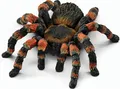 Produktbild: GW60f1 schleich 14829 Vogelspinne
