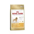 Produktbild: Royal Canin Breed Pudel | 500g Hundefutter trocken