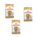 Produktbild: Royal Canin Poodle Adult | 3er Pack | 3 x 500 g | Trockenfutter für ausgewachsene Pudel | Zur Unterstützung des Fells und des Muskeltonus | Für Hunde ab dem 10. Lebensmonat