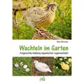 Produktbild: Wachteln im Garten