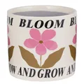Produktbild: BUTLERS Blumenübertopf Ø 17cm Steingut -Bloom & Grow- Übertopf für Zimmerpflanzen | Pflanztopf mit Blumendekor für Fensterbank