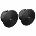 Produktbild: Bose Professional DesignMax DM2C-LP black