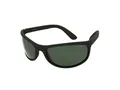 Produktbild: Polaroid Sonnenbrille P 7334 9CA/RC