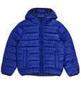 Produktbild: Champion Winter-Steppjacke mit Kapuze - Funktionswattierung, kleiner Logo-Schriftzug - royalblau Jungen, Größe: 152
