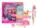Produktbild: Barbie VET CLINIC Large Playset Doll & Pets Veterinarian Career NEW Mattel JFX93