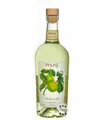 Produktbild: Pisoni Melaverde Liquore Grüner Apfel Likör / 21 % Vol. / 0,7 Liter-Flasche