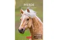 Produktbild: Harenberg Kalender Verlag Wandkalender Pferde Wochenplaner 2026 - 53 faszinierende Fotografien