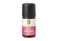 Produktbild: Primavera In Balance 5ml (2580 EUR/l)