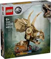 Produktbild: *Auswählen* LEGO Dekoration IDEAS Diorama ICONS Bauset Geschenk Sammlung MODELL