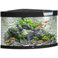 Produktbild: JUWEL AQUARIUM Trigon 190 LED Aquarium - schwarz
