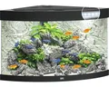Produktbild: Aquarium JUWEL Trigon 190 mit LED-Beleuchtung, Filter, Heizer ohne Unterschrank