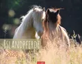 Produktbild: Islandpferde Kalender 2026: Fotokalender mit Porträts der charaktervollen Pferderasse. Großer Wandkalender von Sabine Stuewer. 44 x 34 cm Querformat (Tierkalender Weingarten)