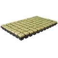 Produktbild: Grodan Stecktray 3,6x3,6 Cm. (je Tray 77 St.)