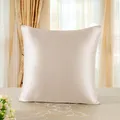 Produktbild: Kissenbezug beidseitig aus 100 % reiner 19-Momme-Maulbeerseide 65 x 65 cm für...