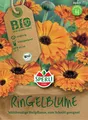 Produktbild: BIO Ringelblume, Nützlingsmagnet mit sehr vielen großen Blüten ab Frühsommer