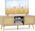 Produktbild: COSTWAY TV-Schrank Holz Lowboard für Fernseher bis zu 55 Zoll, Fernsehtisch mit 2 Türen & offenen Fächern, Fernsehschrank TV-Regal für Wohnzimmer 120 x 40 x 48,5 cm