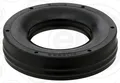 Produktbild: ELRING 485.920 Dichtring, Kerzenschacht für CHERY,CHRYSLER,HAIMA (FAW),LIFAN,MAR