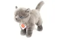 Produktbild: Teddy Hermann® Kuscheltier Teddy Hermann Katze Kartäuser 20 cm stehend grau