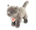 Produktbild: Teddy Hermann® Kuscheltier Kartäuserkatze stehend 20cm (1-St)