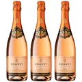 Produktbild: Bouvet Excellence Rosé Crémant de Loire Brut - Klassische Flaschengärung – Cabernet Franc – Cremant Rosé Ideal als Geschenk - 3 x 0.75 L