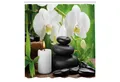 Produktbild: Abakuhaus Duschvorhang Moderner Digitaldruck mit 12 Haken auf Stoff Wasser Resistent Breite 175 cm, Höhe 180 cm, Spa Orchideen Steine ​​Natur