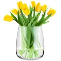 Produktbild: TREND FOR HOME Glasvase groß H: 22,7 cm Vase für Pampasgras Glas, Blumenvase für Pampasgras, Vasen Glas für Hochzeitstulpen Weite Öffnung, Ø 19 cm, Zinnie