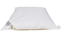 Produktbild: Betten Hofmann Babybettdecke Betten Hofmann Baby Winter Daunenbett 80x80 cm Babydaunendecke Babydec