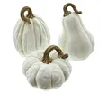 Produktbild: FRANK FLECHTWAREN Kürbis White, im 3er Set, schöne Herbstdeko, ausgefallen, modern