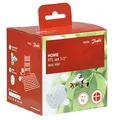 Produktbild: Danfoss Rücklauftemperaturbegrenzer, 1 Stück, 003L1080