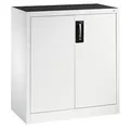 Produktbild: CP Stahlschrank 8821-000 S10200 lichtgrau 1 Fachboden 93,0 x 50,0 x 100,0 cm, aufgebaut, 1 St.