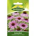 Produktbild: Sonnenhut, Leuchtstern
