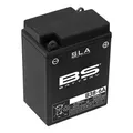 Produktbild: BS BATTERY SLA aktivierte wartungsfreie AGM-Batterien B38-6A