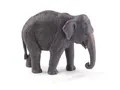 Produktbild: Mojo 387266 Asiatischer Elefant 11 cm Wildtiere