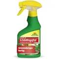 Produktbild: Neudorff Spruzit AF Schädlingsfrei – Bekämpft Schädlinge wie Buchsbaumzünsler, Blattläuse, Thripse an Zierpflanzen, Gemüse, Obst und Kräutern, 250 ml