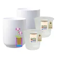Produktbild: MePla - 2 Stück - SK Soendgen Orchideenübertopf Falun ø 13 Weiss-matt Pflanztopf Orchidee ø 12, hochwertiges Wohnambiente