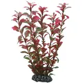 Produktbild: Hobby Ludwigia, 25 cm