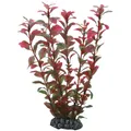 Produktbild: Hobby Ludwigia Aquarienpflanze 25cm Wasserpflanze Aquarium Deko