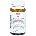 Produktbild: Strophanthus Comp. Globuli