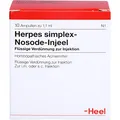 Produktbild: HERPES SIMPLEX Nosode Injeel Ampullen 10 St
