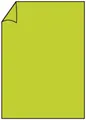 Produktbild: Rössler Papier 220726522 Coloretti Briefbogen - A4, 165g, 10 Blatt, hellgrün