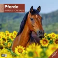 Produktbild: Pferde Broschürenkalender 2026 - 30x30 - Art12 | Bildstarker Tier-Kalender im schlanken Hochformat (aufgeklappt 30x60 cm) | mit Eintrage-Kalendarium