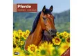 Produktbild: Ackermann Wandkalender Pferde Broschürenkalender 2026 - 30x30 - Art12