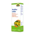 Produktbild: SUNLIFE® Arnikasalbe 100 ml Natürlich Gel Pflege Sport Entspannung + Arnika & Vi