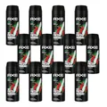 Produktbild: AXE Bodyspray Africa Deospray mit 48H Schutz gegen Körpergeruch ohne Aluminiumsalze - 12 Stück