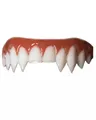 Produktbild: Dental FX Veneers Vampir Zähne